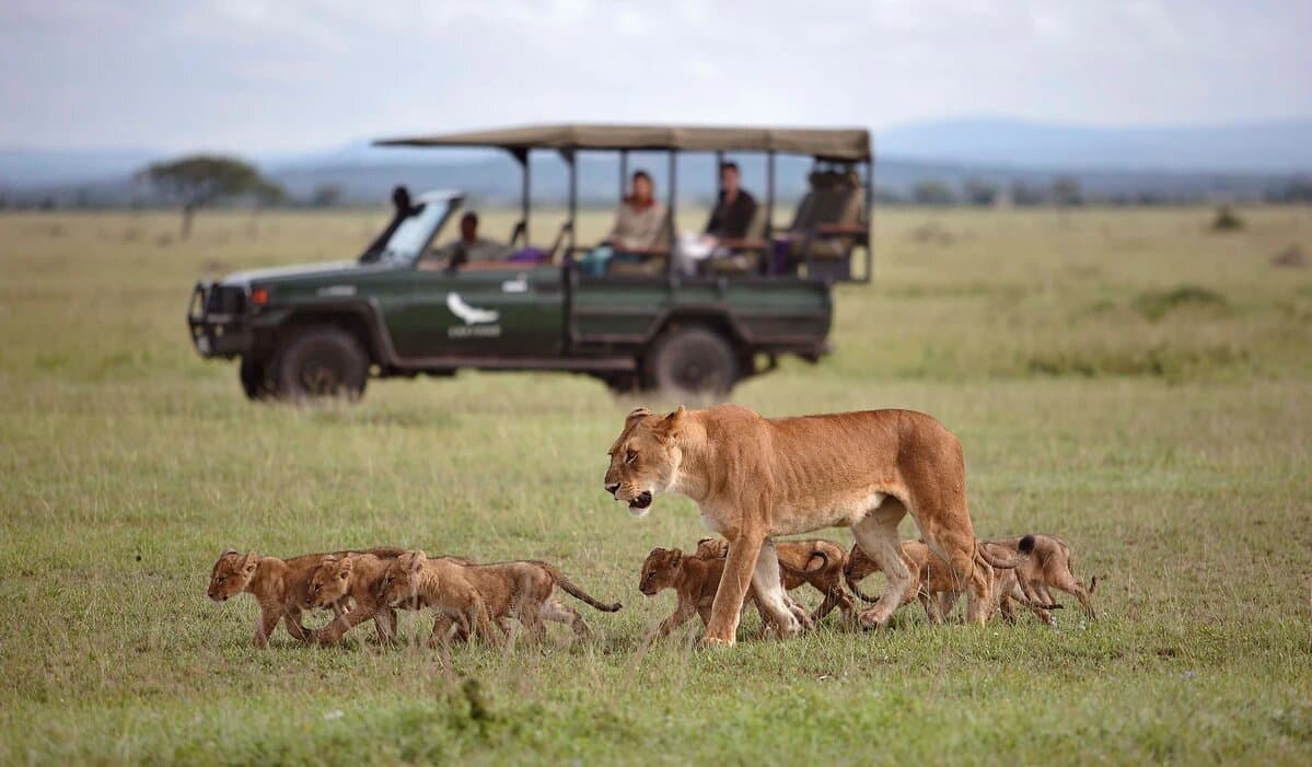 The Great Plains of East Africa