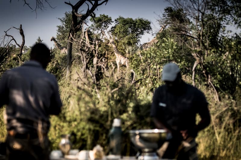 Abu Camp gallery image 2