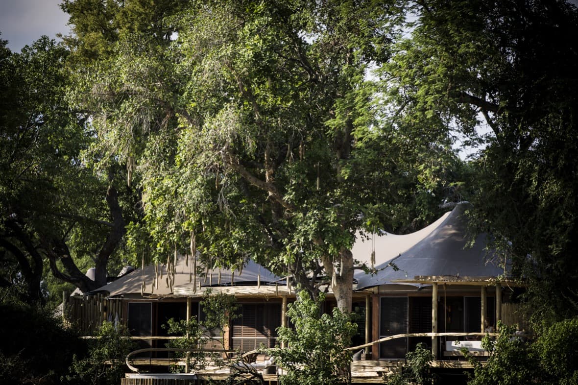 Little Mombo gallery image 2