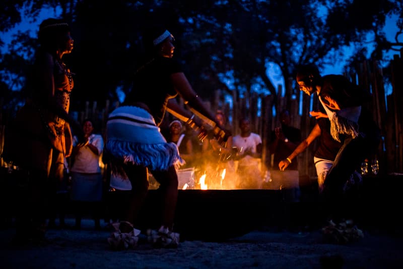 Mombo gallery image 5