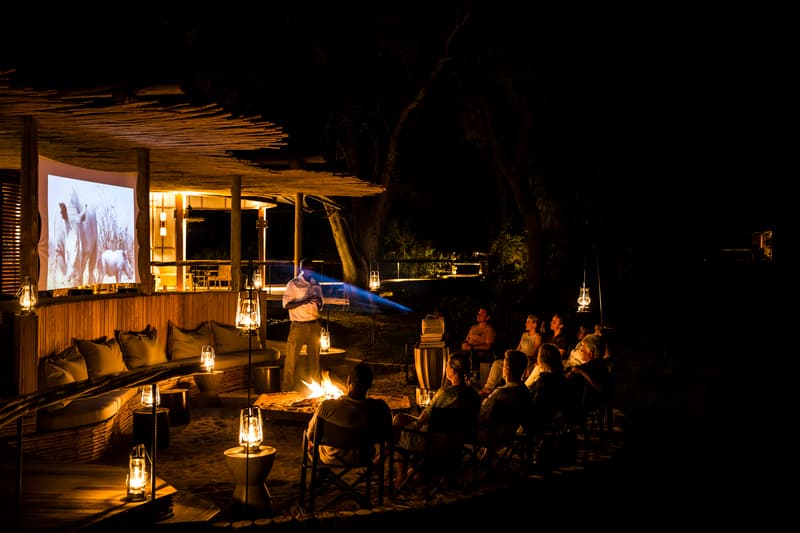 Mombo gallery image 7