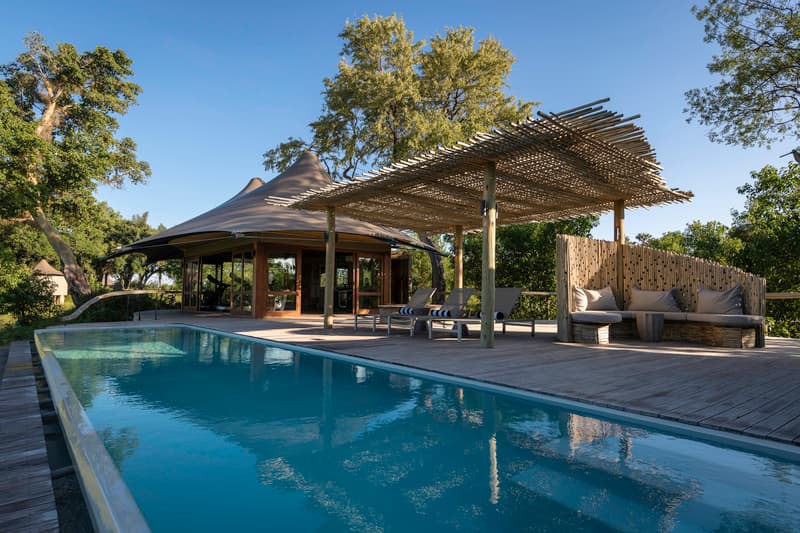 Mombo gallery image 11