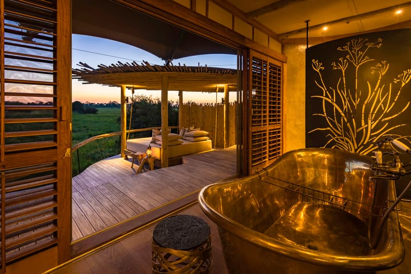 Mombo gallery image 12