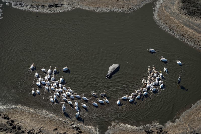 Qorokwe gallery image 5