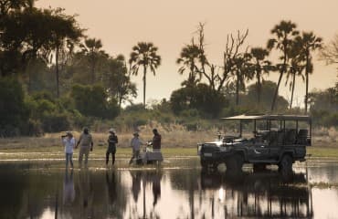 Sandibe gallery image 11