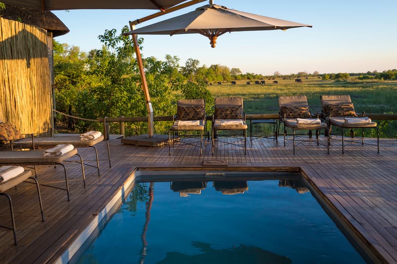 Savuti Camp gallery image 8