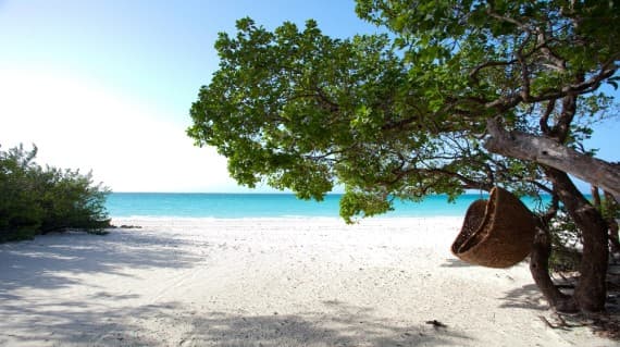 Casamina gallery image 4