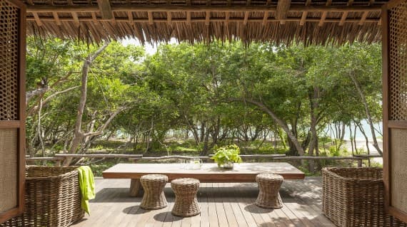 Papilio gallery image 3