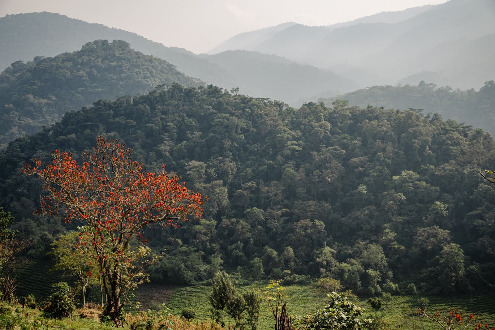 Erebero Hills