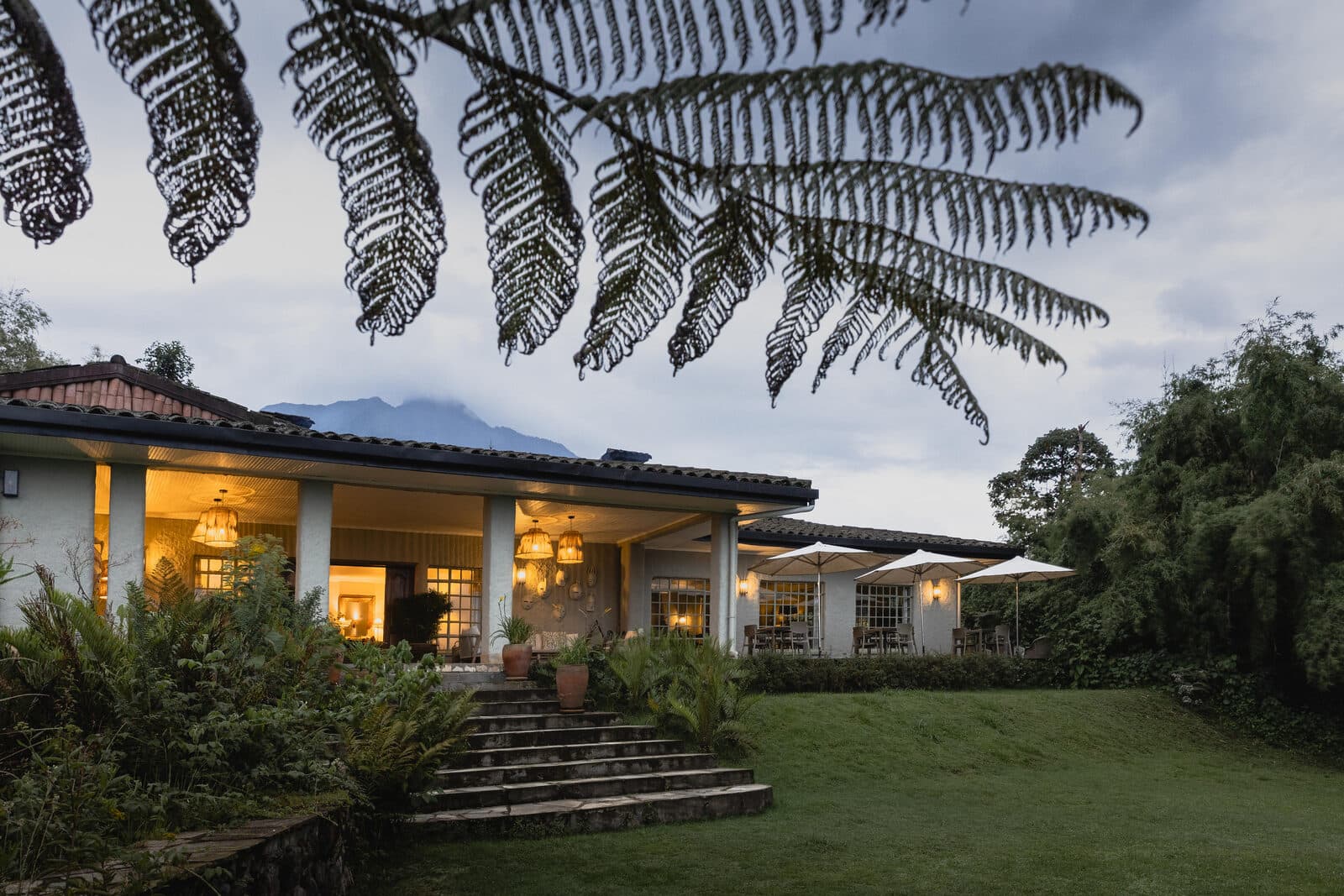 Sabinyo Wilderness gallery image 6