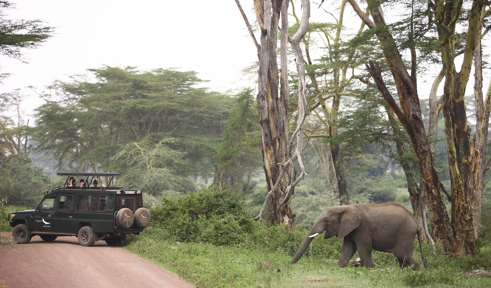 Ngorongoro Crater Lodge gallery image 2