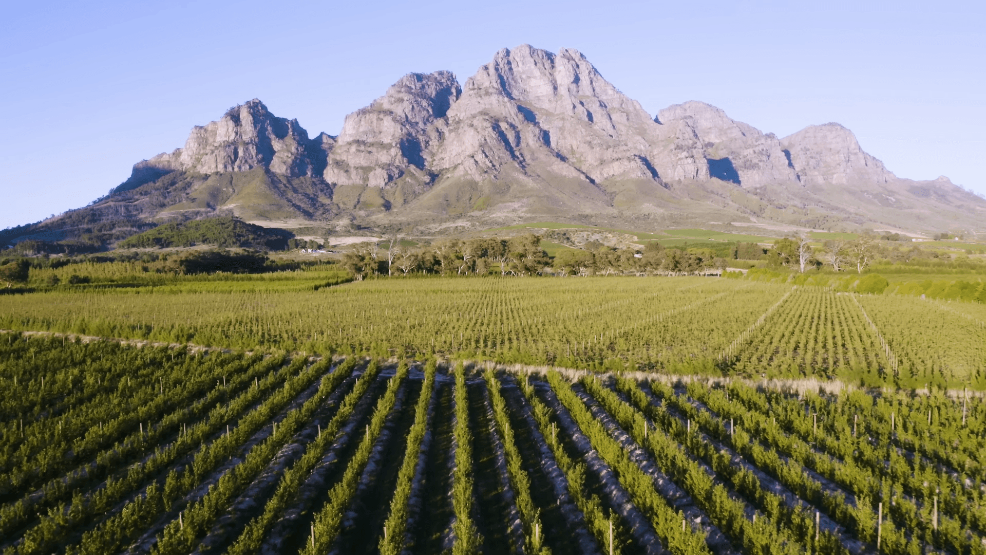 Private Wine Tours