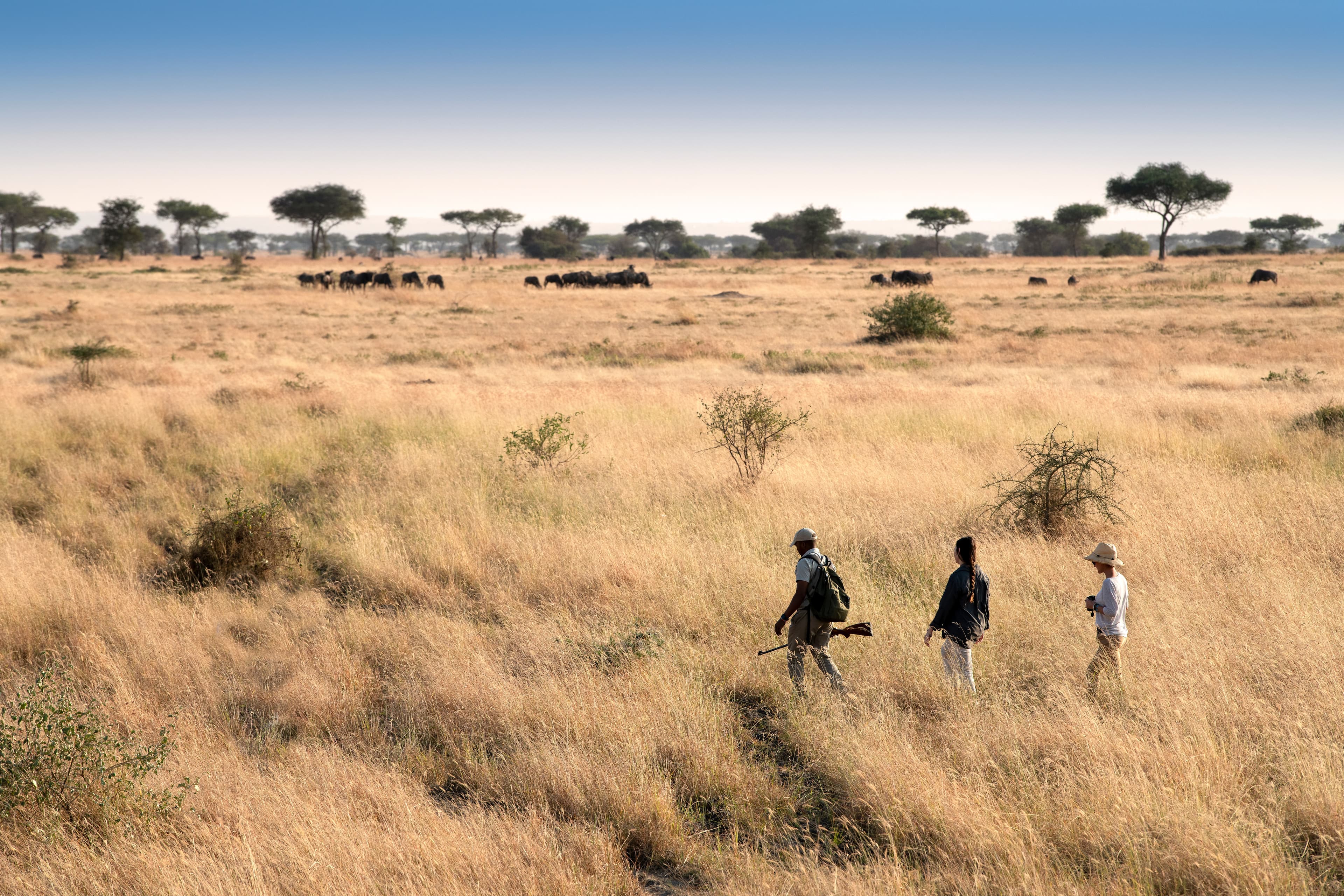 Nature Walk safari experience