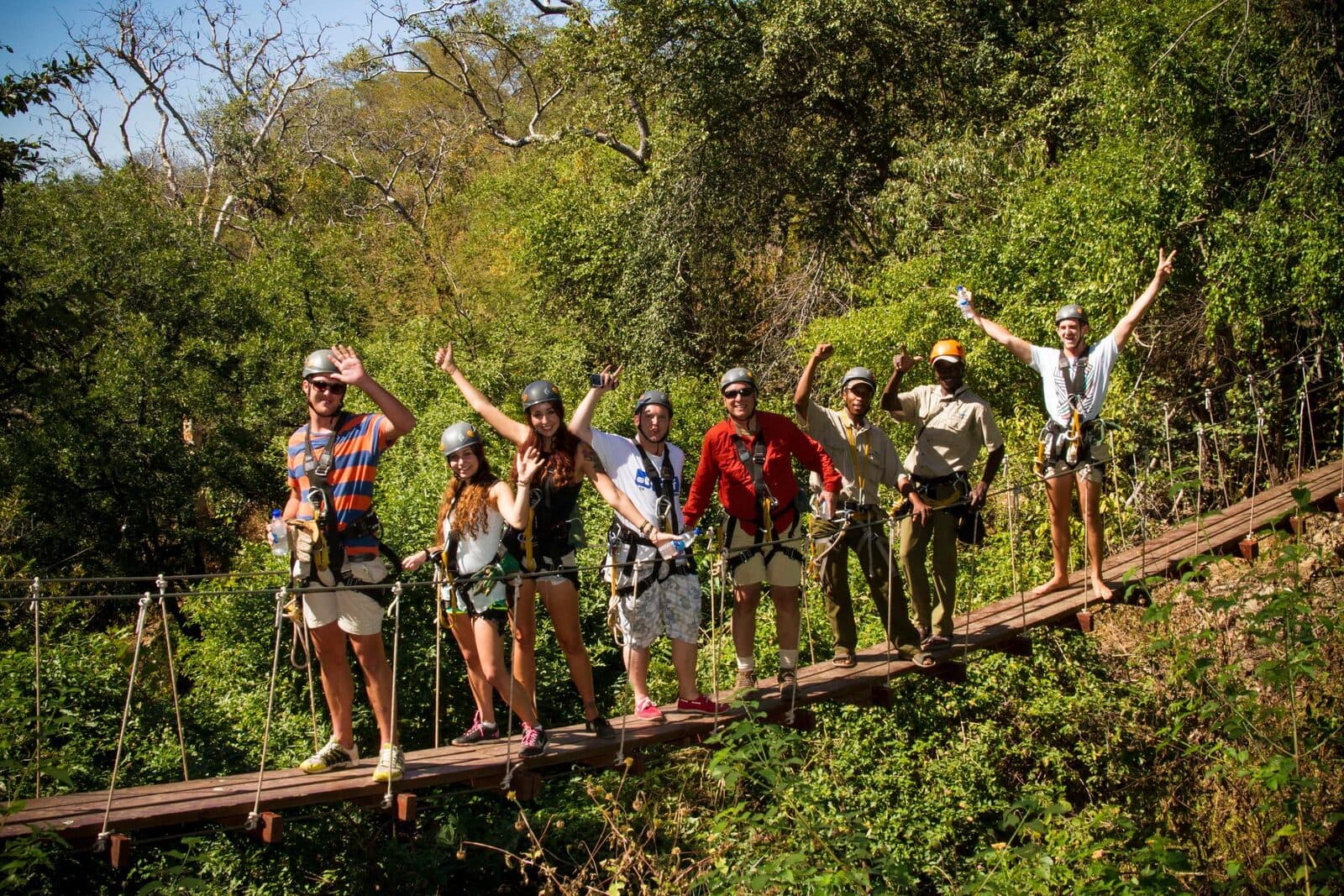 The Elephant Camp gallery image 3