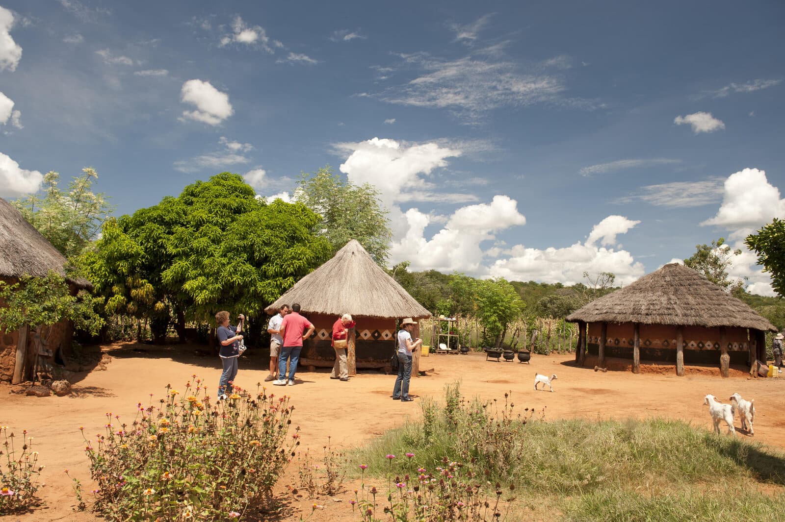 The Elephant Camp gallery image 8