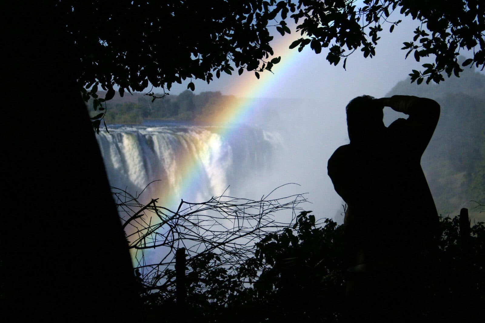 The Elephant Camp gallery image 11