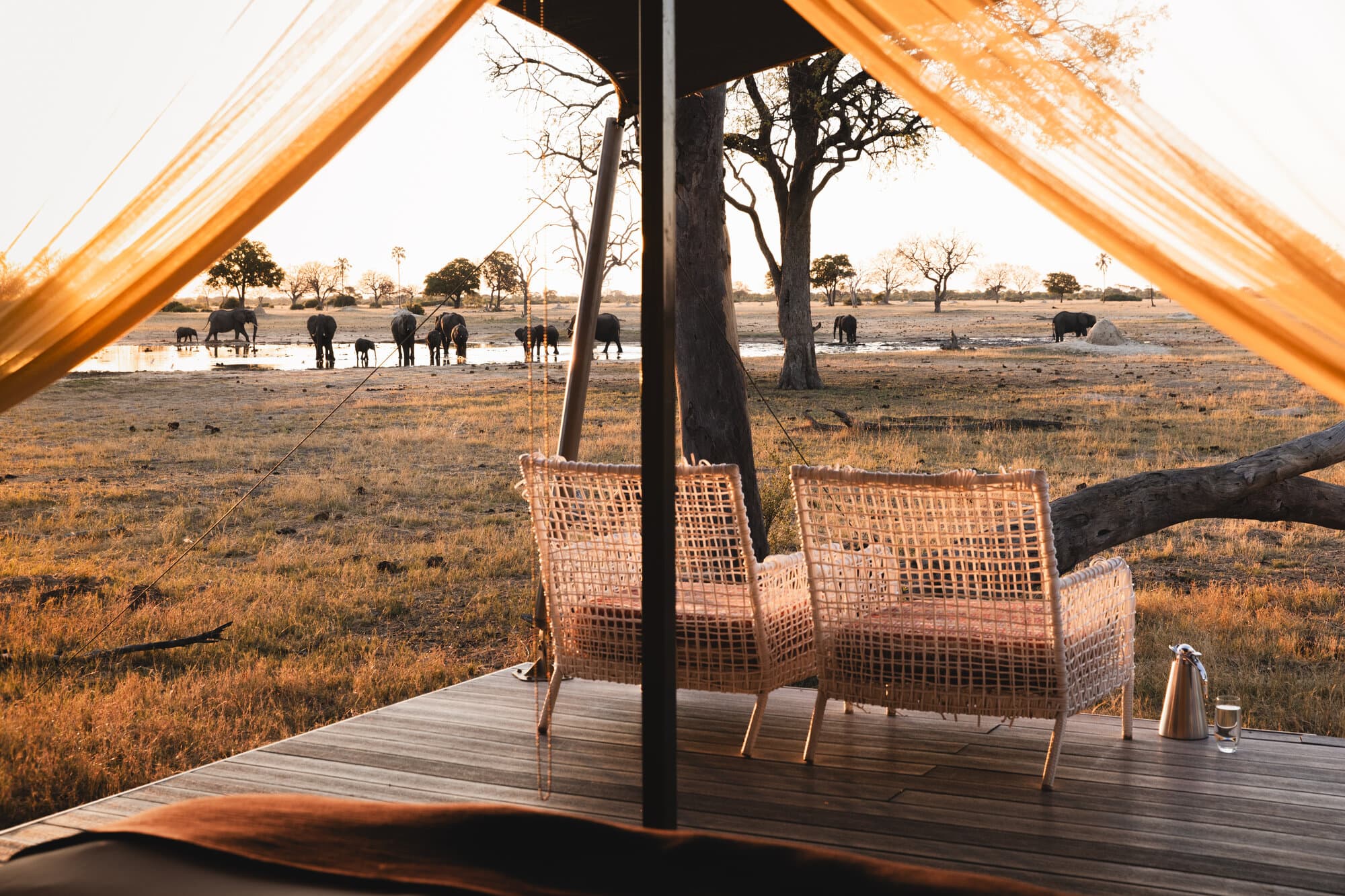 Linkwasha Camp gallery image 2