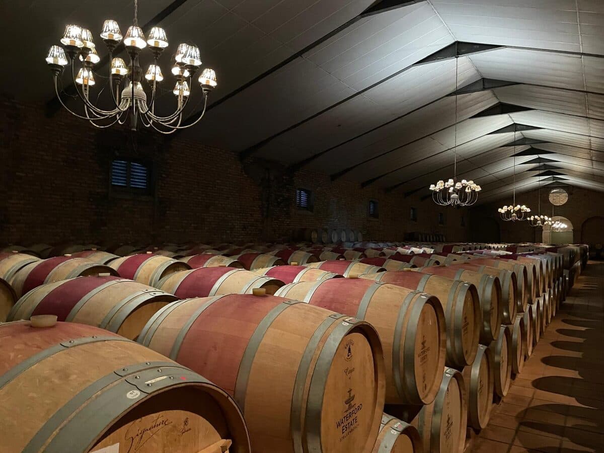 Cape Winelands tasting experience