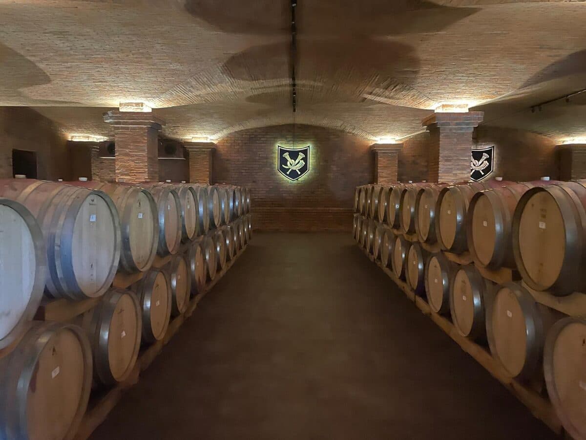 Cape Winelands tasting experience