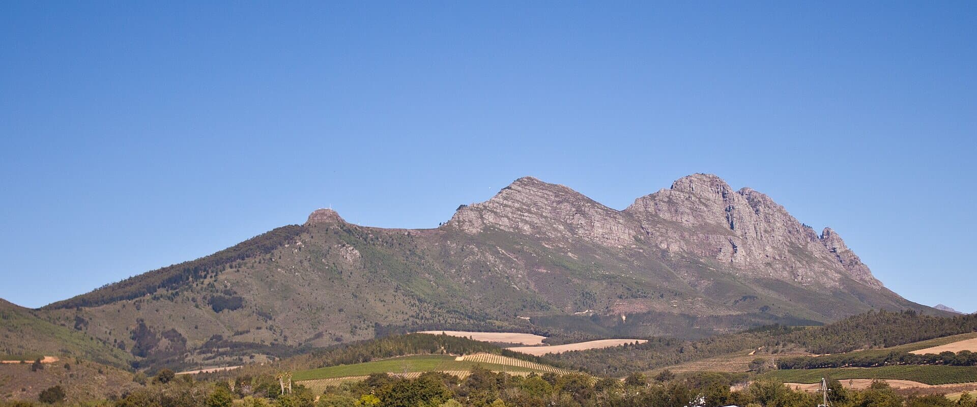 Private Winelands Experience