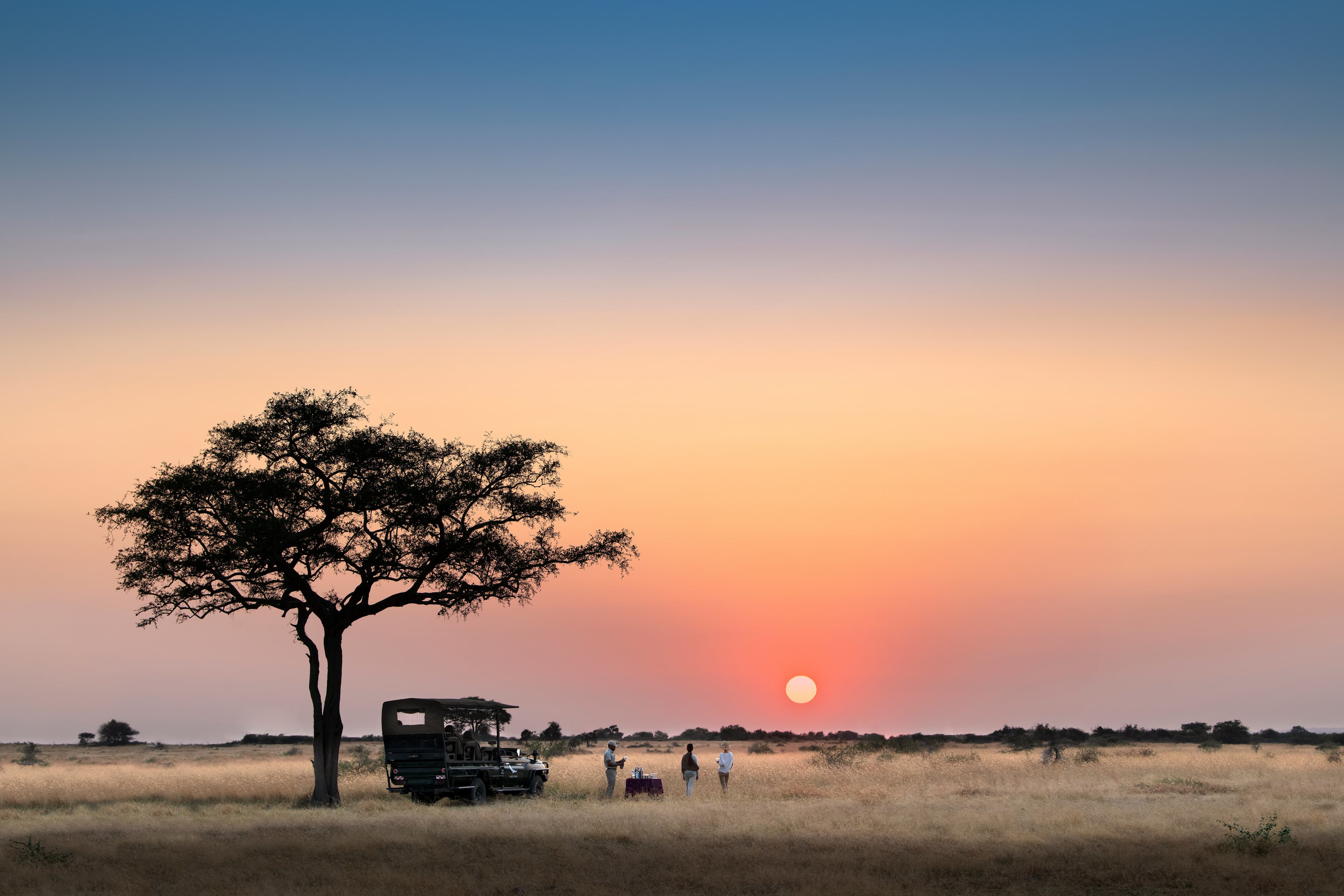 Sundowner safari experience
