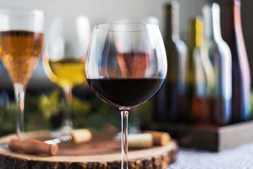 Wine safari experience